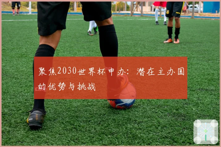 聚焦2030世界杯申办：潜在主办国的优势与挑战