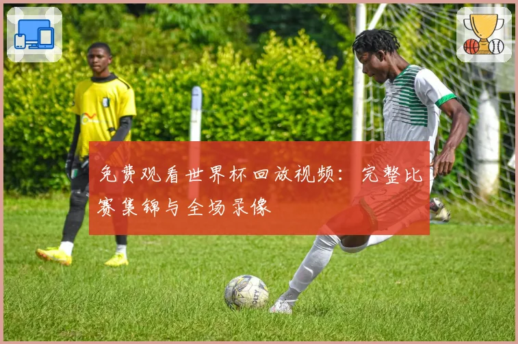 免费观看世界杯回放视频：完整比赛集锦与全场录像