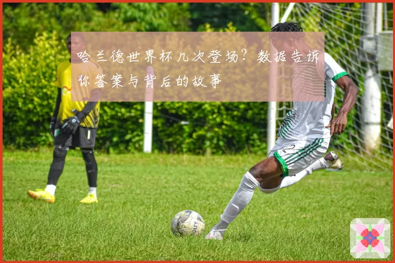 哈兰德世界杯几次登场？数据告诉你答案与背后的故事