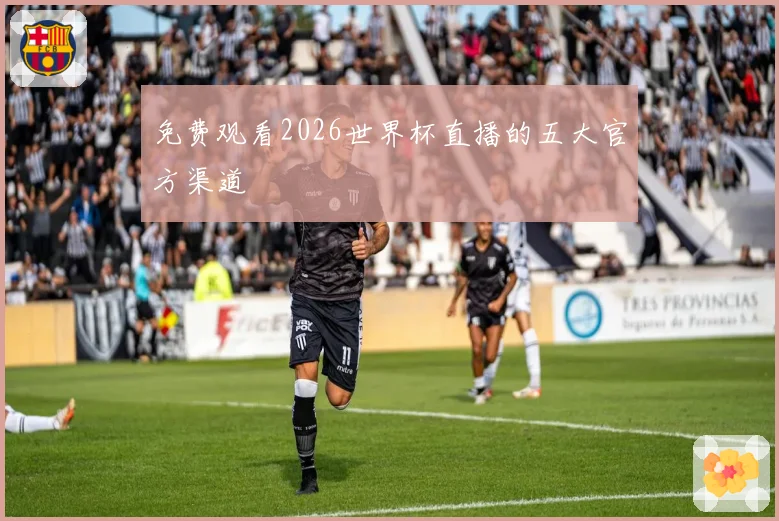 免费观看2026世界杯直播的五大官方渠道