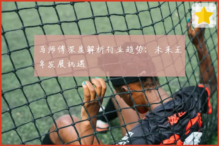 马师傅深度解析行业趋势：未来五年发展机遇