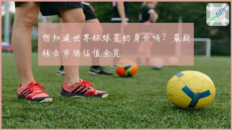 想知道世界杯球星的身价吗？最新转会市场估值全览