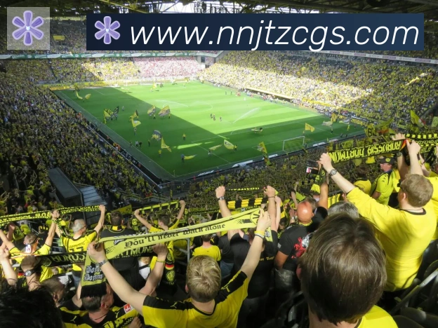 开云appAPP 高清赛事图