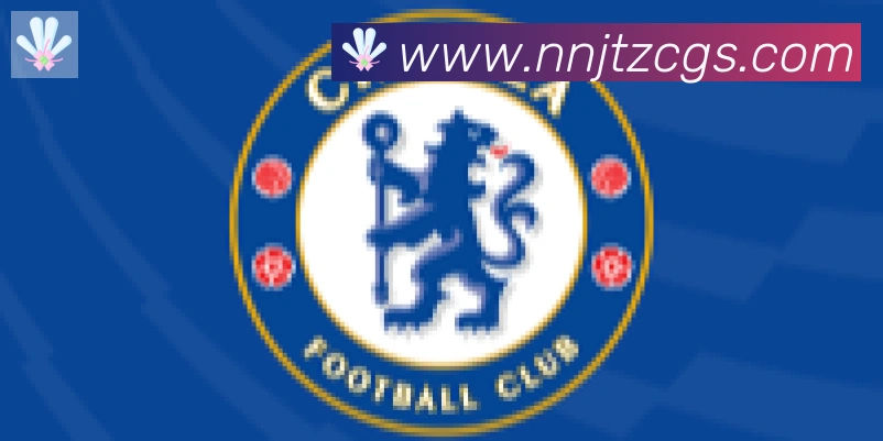 开云app合作伙伴